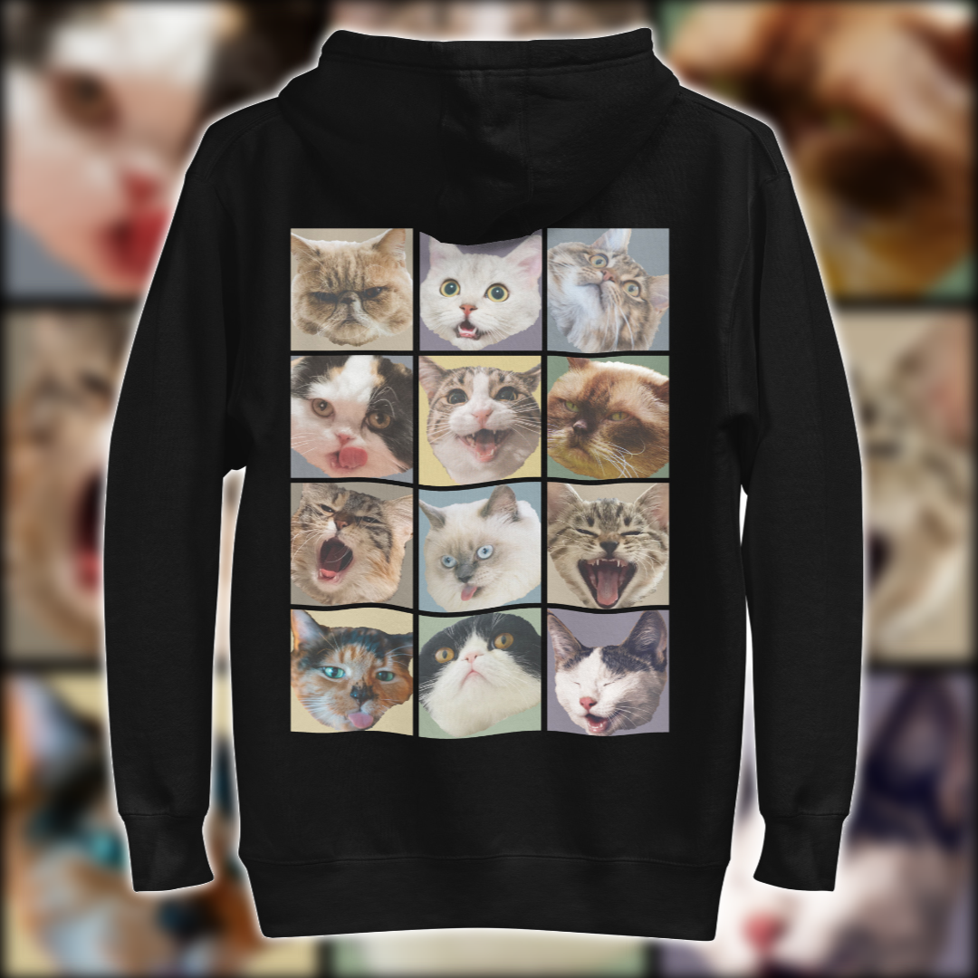 Funny Cat Friends Hoodie