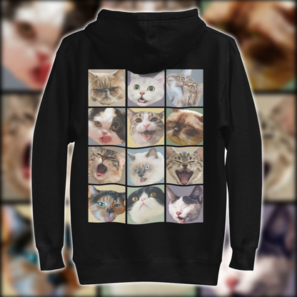 Funny Cat Friends Hoodie