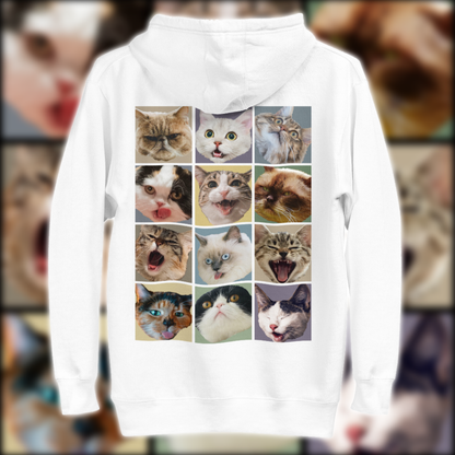 Funny Cat Friends Hoodie
