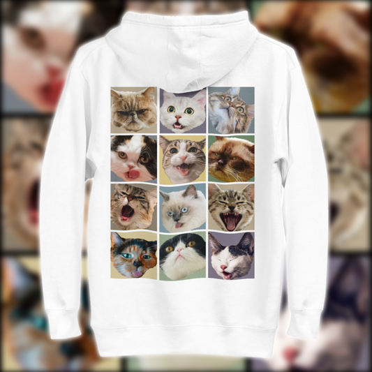 Funny Cat Friends Hoodie